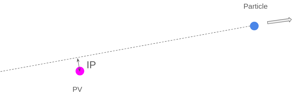 Schematic diagram of the IP 