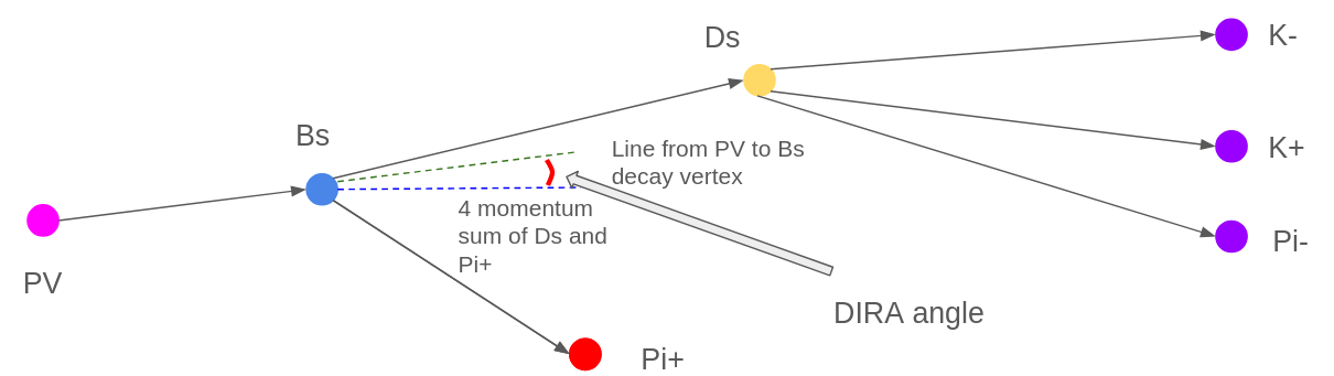 Schematic diagram of the DIRA 